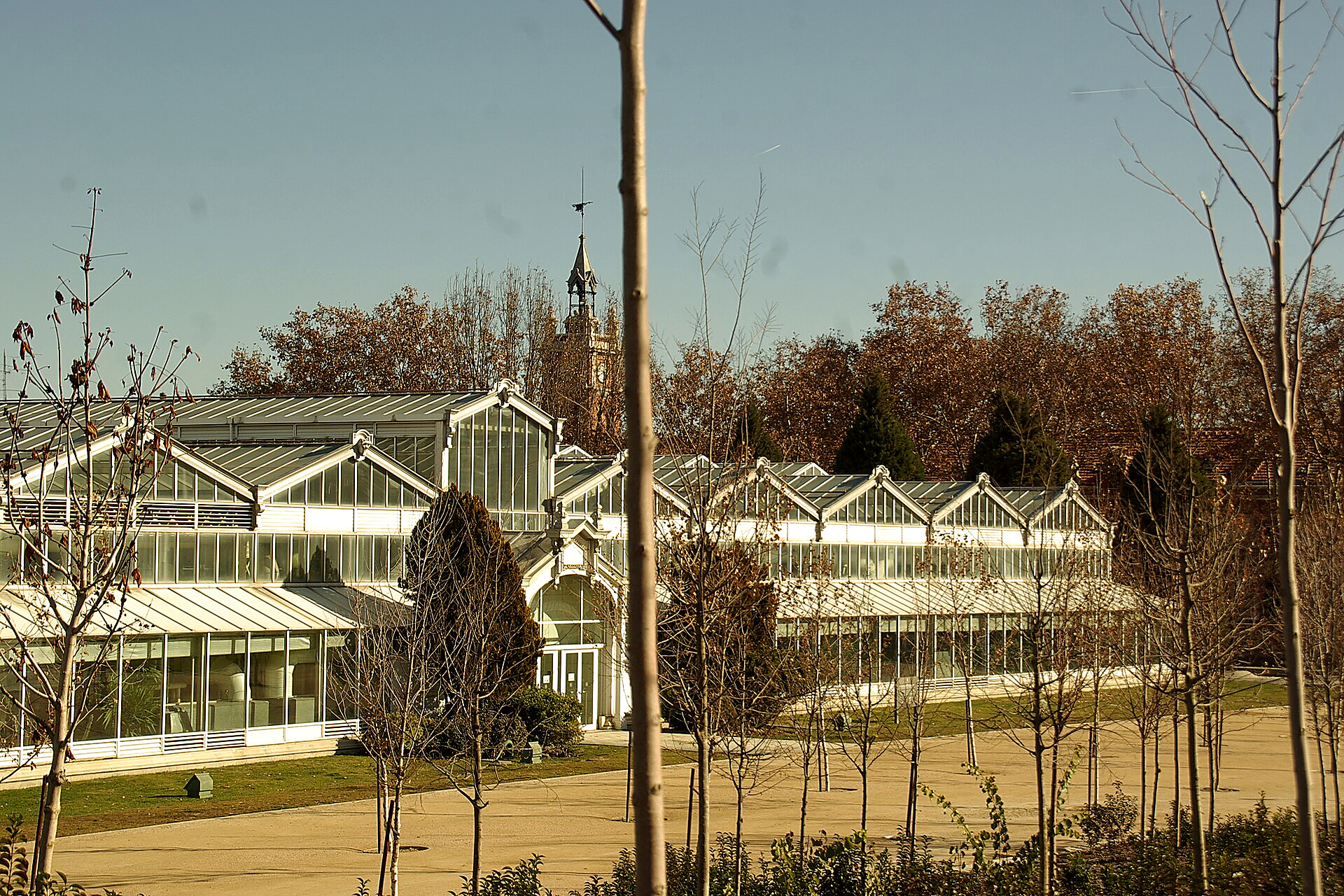 Invernadero de Arganzuela en Madrid: el Palacio de Cristal secreto de Madrid Río con plantas tropicales y desérticas