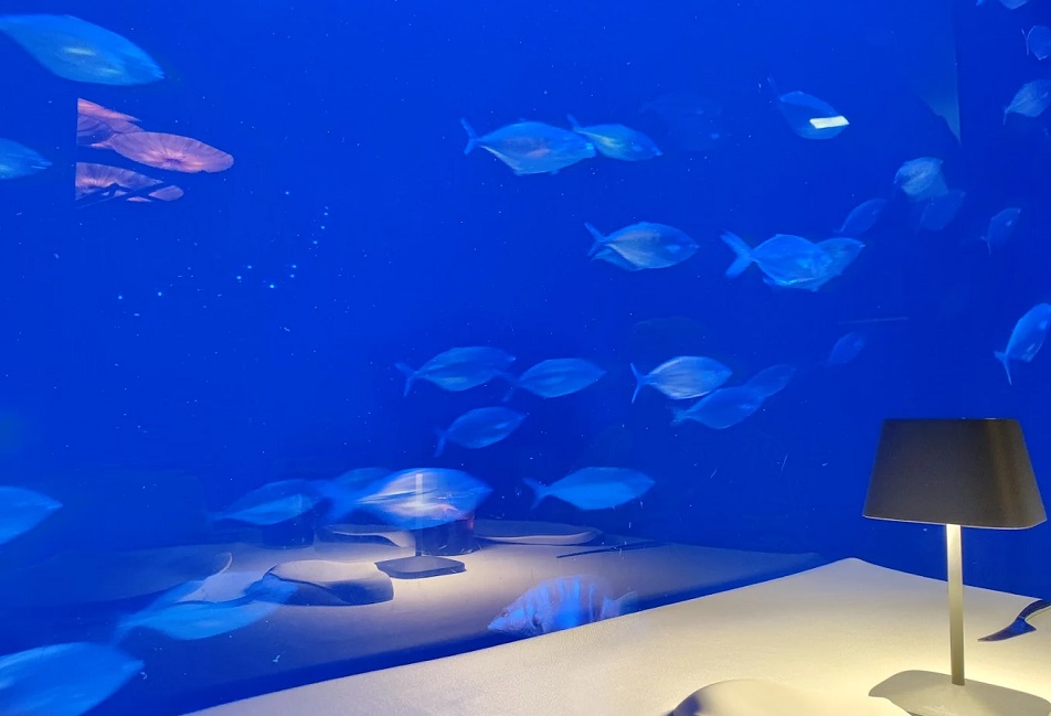 Submarino Restaurant, ein Raum für gehobene mediterrane Küche im Inneren des Oceanogràfic von Valencia
